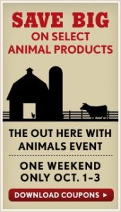 Out Here with Animals Image